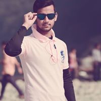 পথভোলা গাংচিল