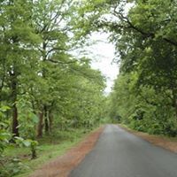 Avinash Bandhade
