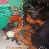 Muhammad Arif