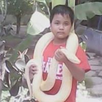 Hanafi Rais