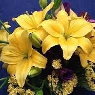 عطر الياسمين