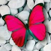 الاء العمراوى