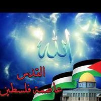 أحمد السيد جاسم