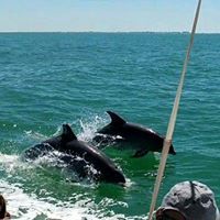 Doris Parsons Lessard