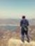 Ankit K...