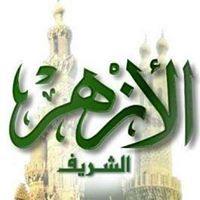 عماد الشافعي