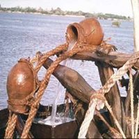 عثمان محمود