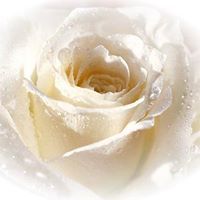 Aizhamal Khudaiberdieva