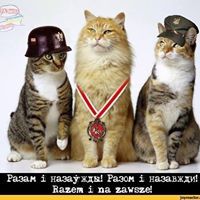 Андрей Окушко