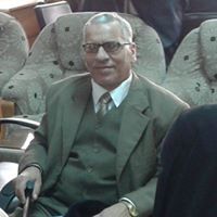 Mohamed Shams Eldein