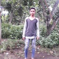 Diyan Prolink