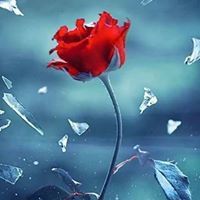 حكاية أقلام