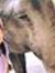 Ianna R...