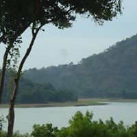 الإكليل الاكليل