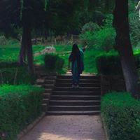 Ayesha Ashraf