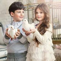 ثراء الحراسيس