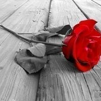 محمود عبد الرحمن