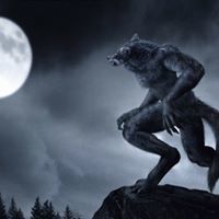 অসম্বাব রাকিব