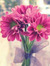 Abeer S...