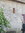 Sage Nottley | 1 comments