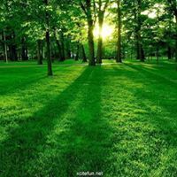 Satyabrata Singh Dharua