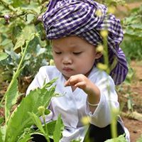 Bình Thanh