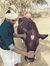 தீரண் ச...