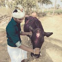 தீரண் சத்தியன்