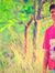 gagan p...