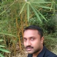 Harikrishnan Palakkol