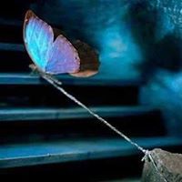 محمد المصري