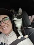 Dani 