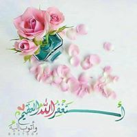 Hanin Ahmed