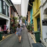 SsAfor 아가시의 리사
