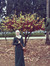 Haneen ...