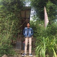 Elang P