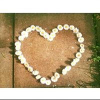 דאניה מזאריב