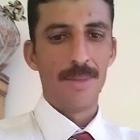 الصقر العربى