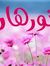 Ramy El...