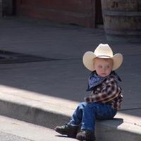 Δήμος Βλάχος