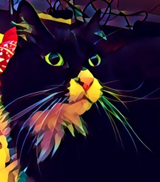 Lizzie