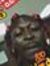 Steez L...