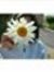 Tasneem...