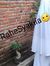 Rahes S...