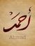 Ahmad H...