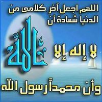 عدنان ابو مريم