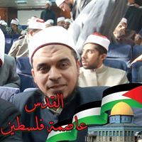 محمود الخولي