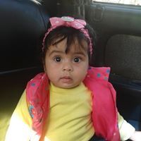 مصطفى بحيرى