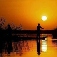 Assef Mohammad