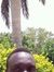 Ben Chiman